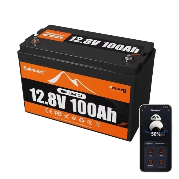 Batería Litio LiFePO4 12V 100Ah Smart Bluetooth BMS 100A 15000 Ciclos - E1033*'s photo #1