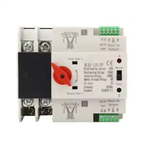 Conmutador de transferencia termomagnetico 63A miniatura 2